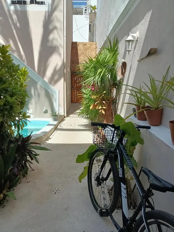 Kika Studios Playa del Carmen Mexico