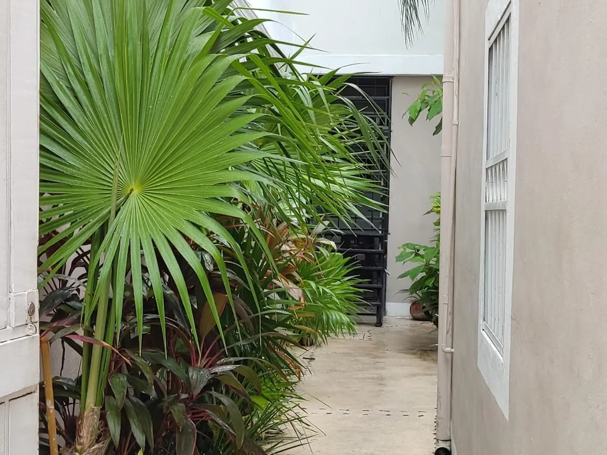Kika Studios Playa del Carmen Guest house