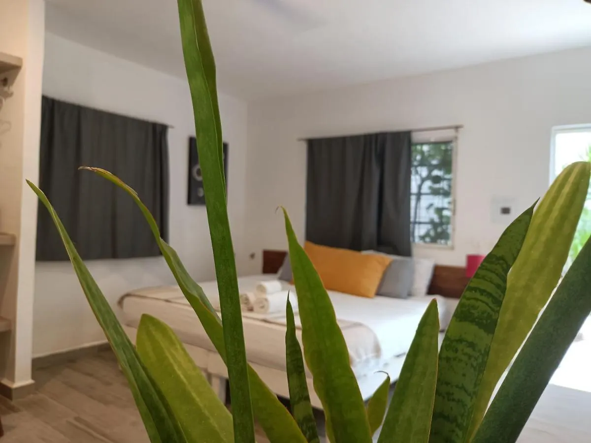 Konukevi Kika Studios Playa del Carmen