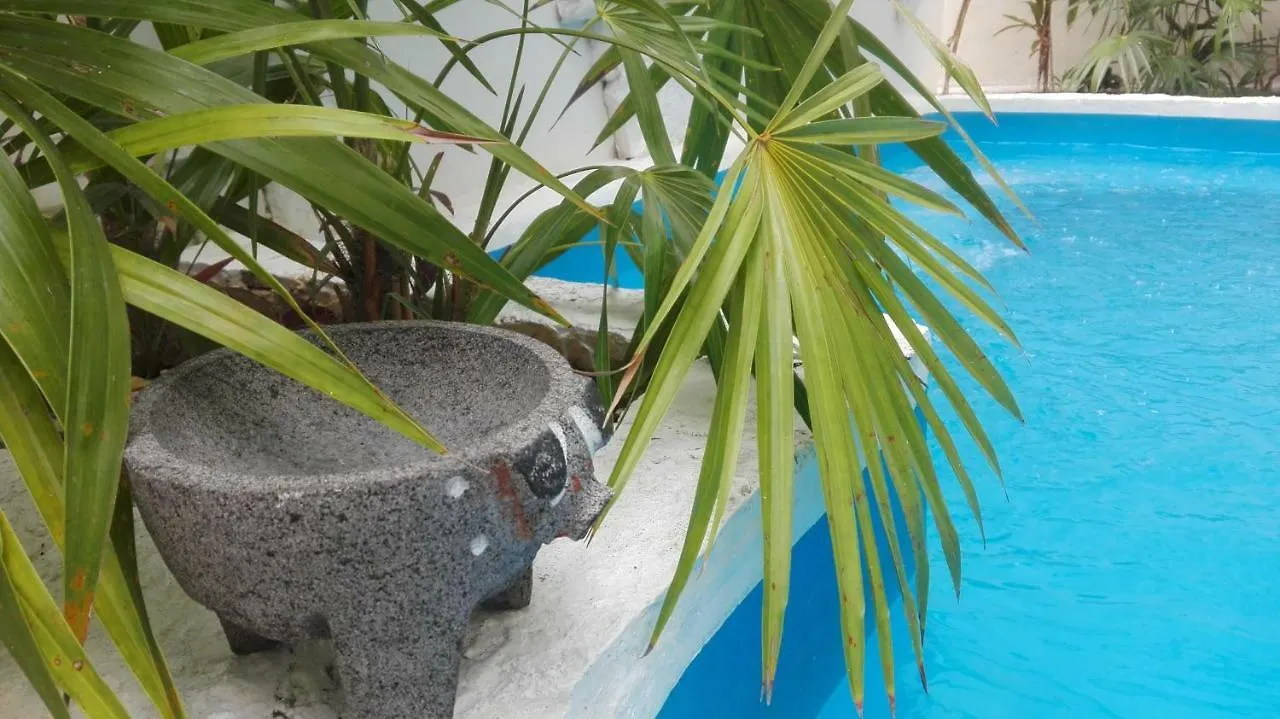 Kika Studios Playa del Carmen 3*,
