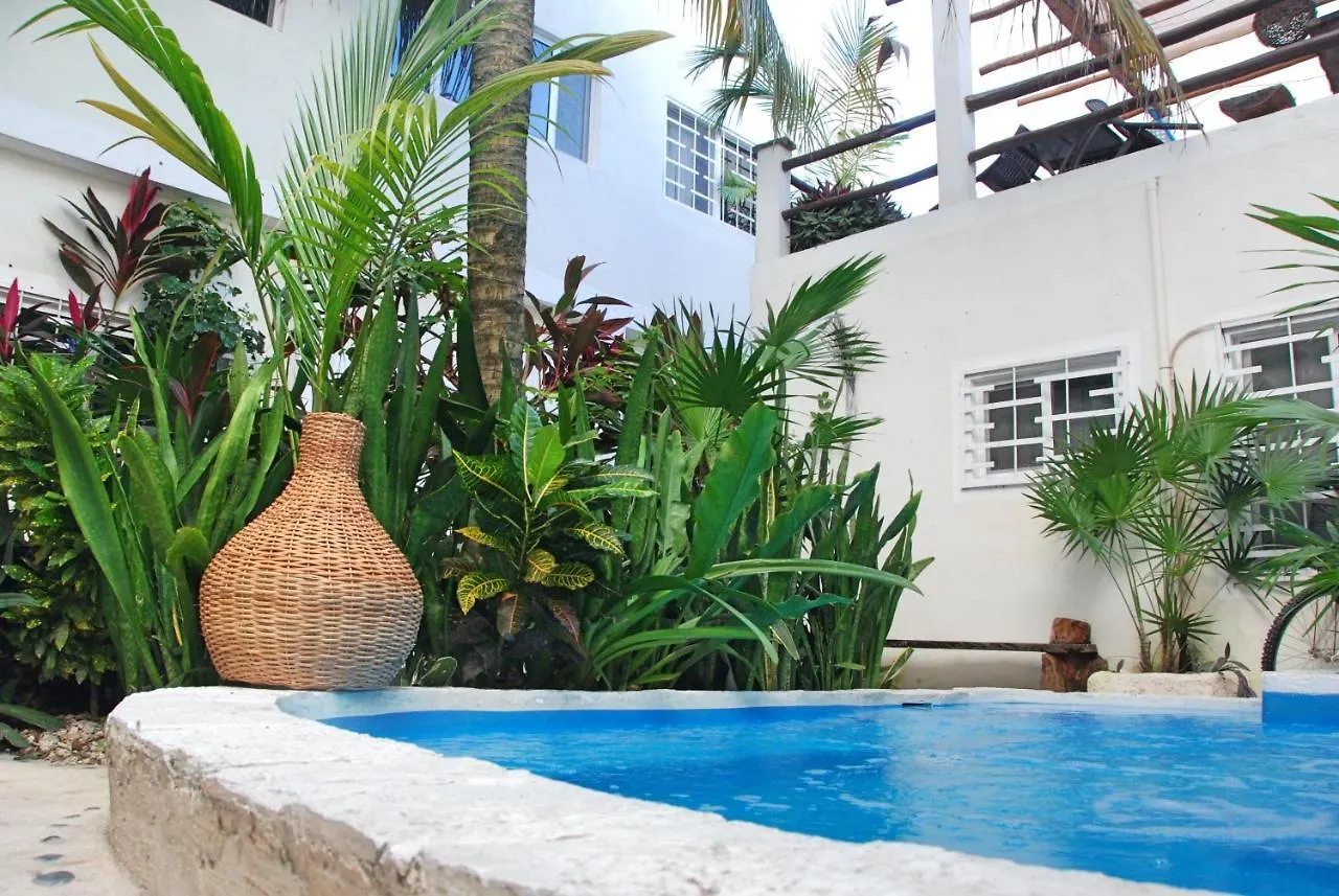 Guest house Kika Studios Playa del Carmen