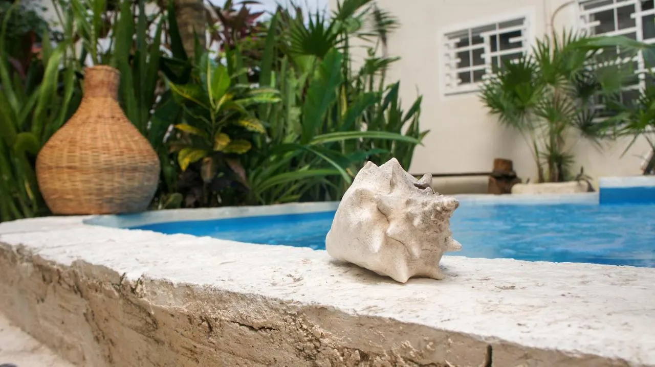 *** Guest house Kika Studios Playa del Carmen Mexico
