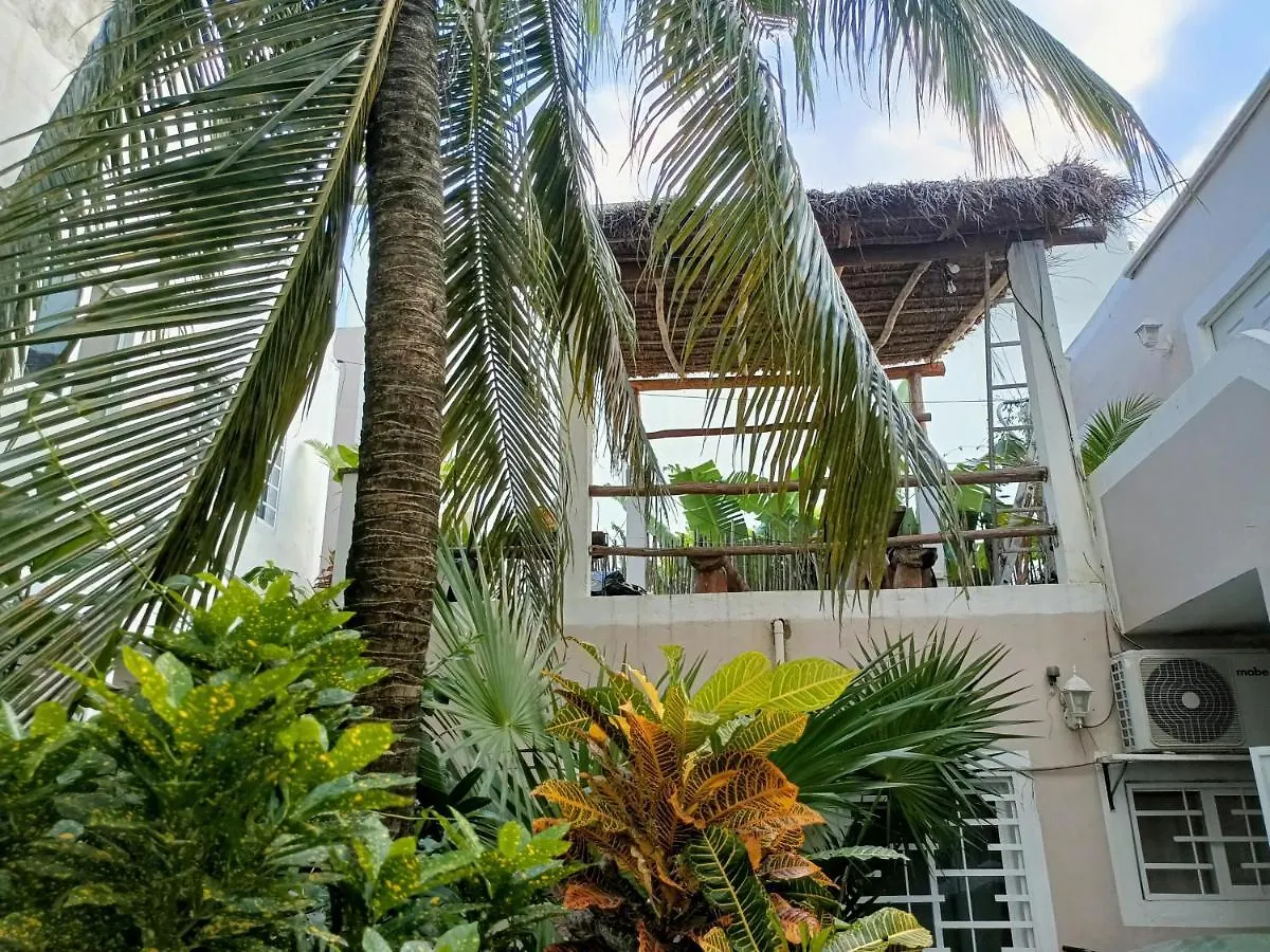 Kika Studios Playa del Carmen Guest house