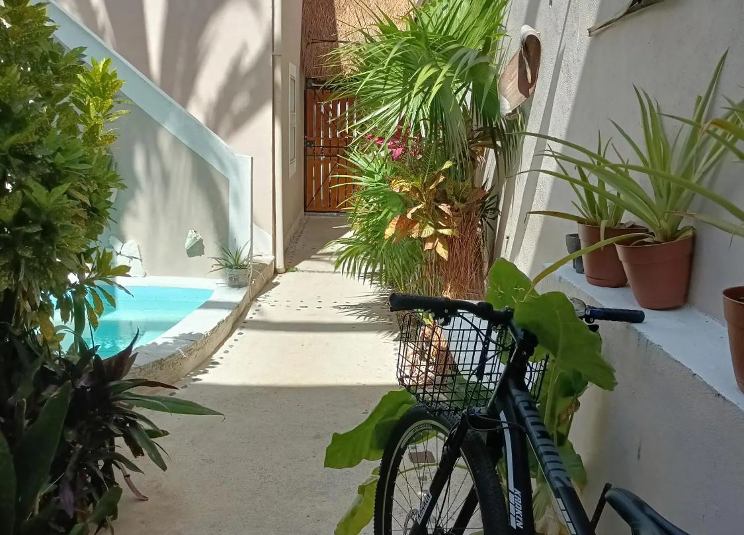 Kika Studios Playa del Carmen Mexico