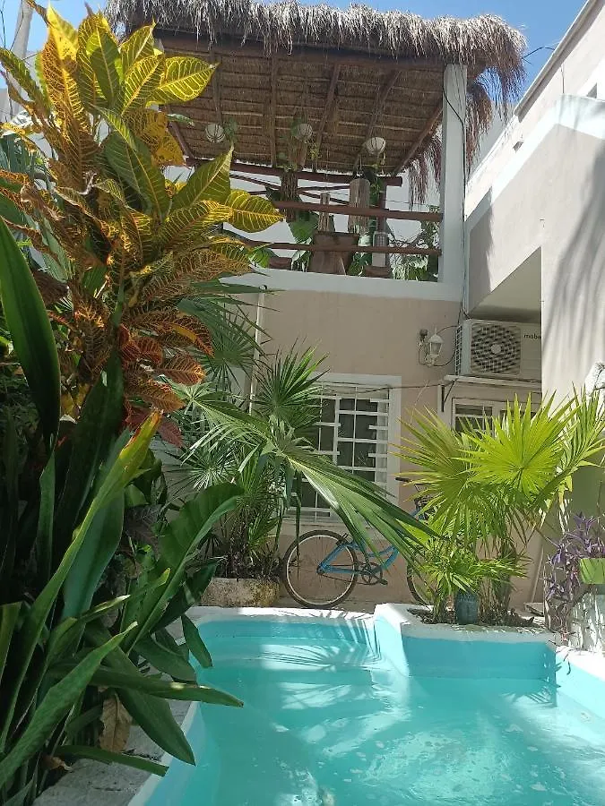 Kika Studios Playa del Carmen 3*,  Mexico
