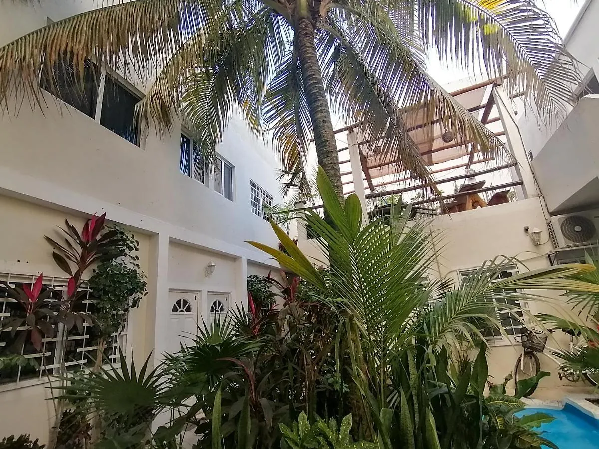 Kika Studios Playa del Carmen Mexico