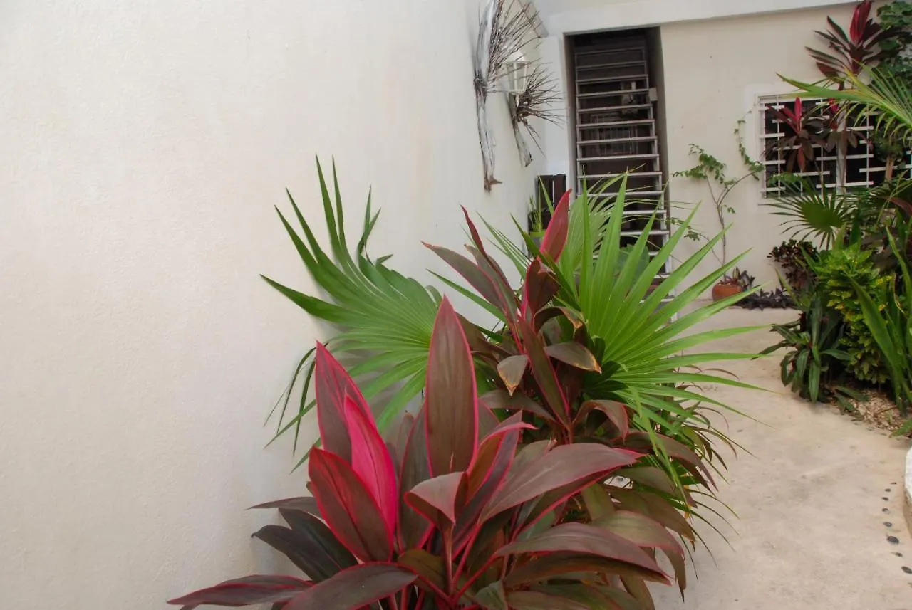 Kika Studios Playa del Carmen Guest house
