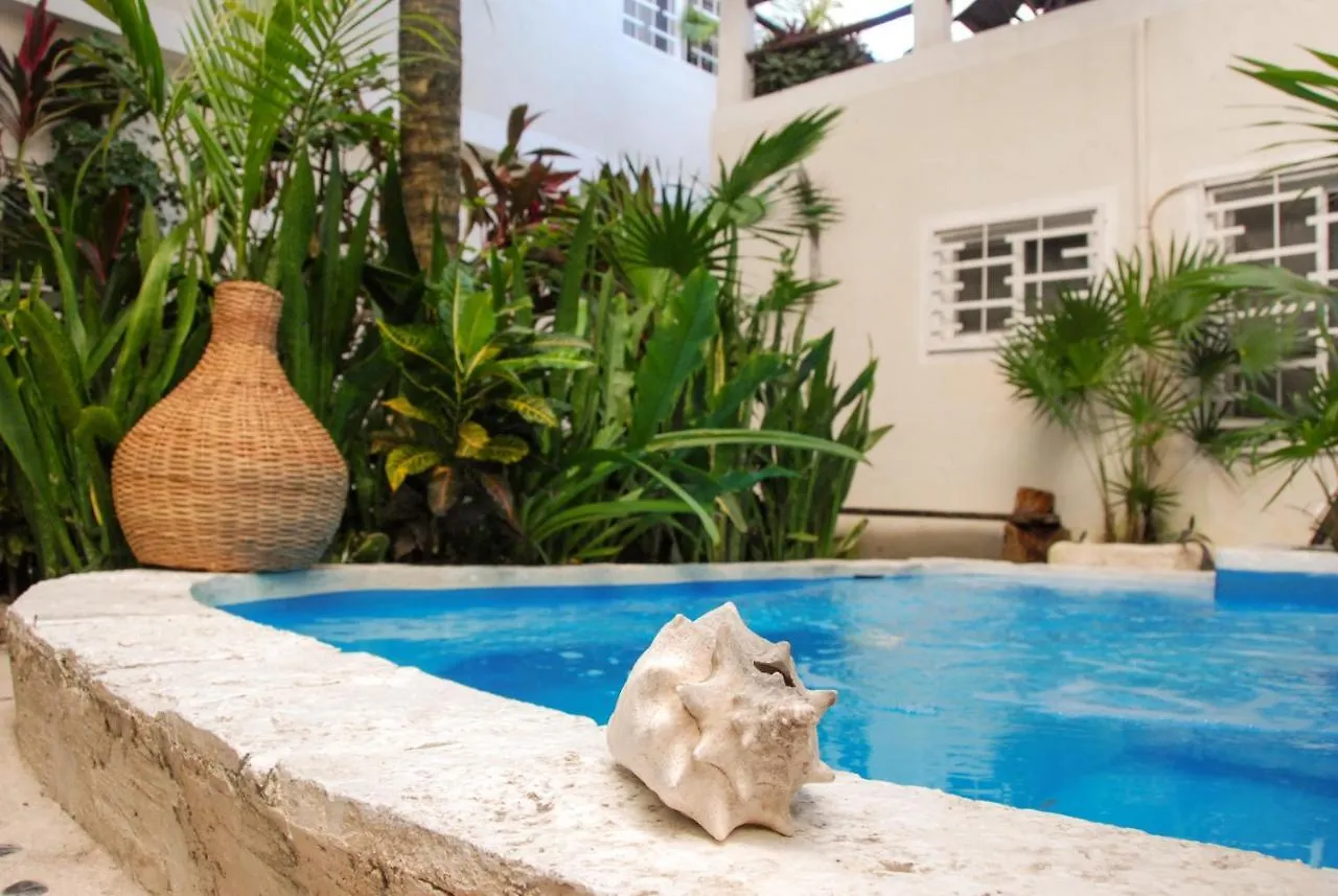 Kika Studios Playa del Carmen 3*,
